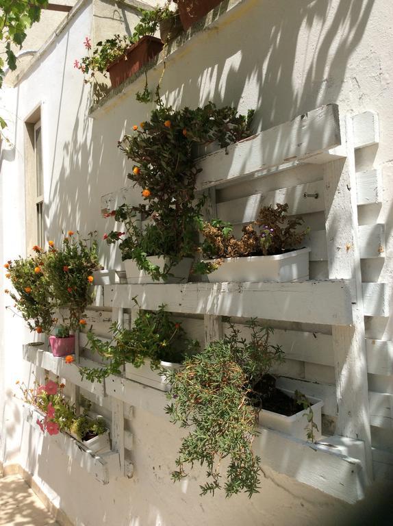Il Cancelletto Casa Vacanze ميسانيي المظهر الخارجي الصورة